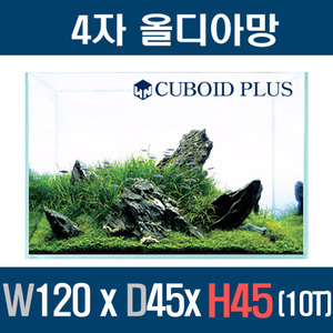 큐보이드 올디아망 플러스 120x45x45 (10T)