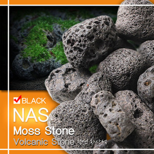 NAS 모스스톤 블랙 (모스활착용 화산석)1kg